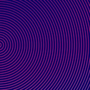 Meet your Posher, Ellayne